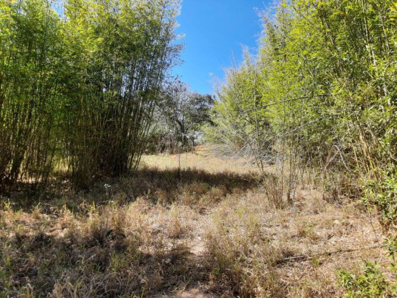 Imagem Chácara à Venda, 66 m² em água Comprida - Bragança Paulista Imagem Chácara à Venda, 66 m² em água Comprida - Bragança Paulista