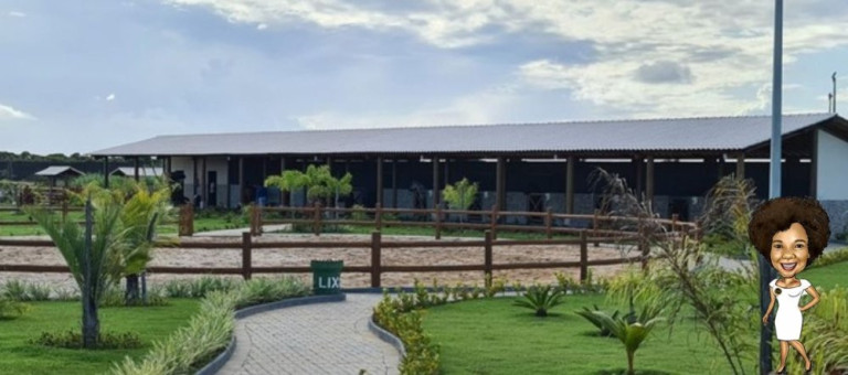 Imagem Imóvel à Venda, 525 m² em Centro - Itaporanga D'ajuda