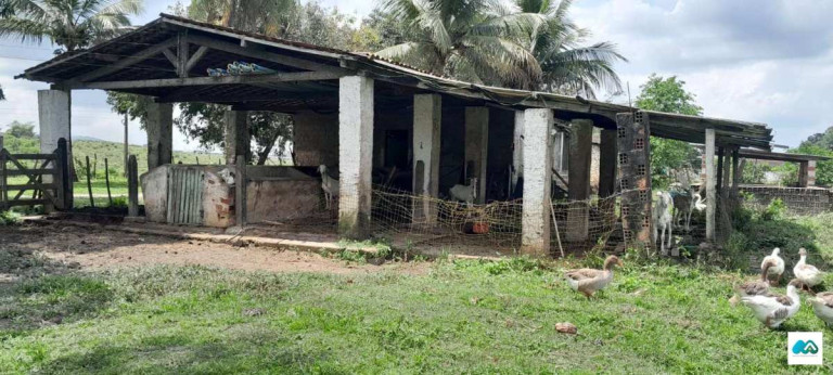 Imagem Chácara à Venda, 3.000 m² em Murici Imagem Chácara à Venda, 3.000 m² em Murici