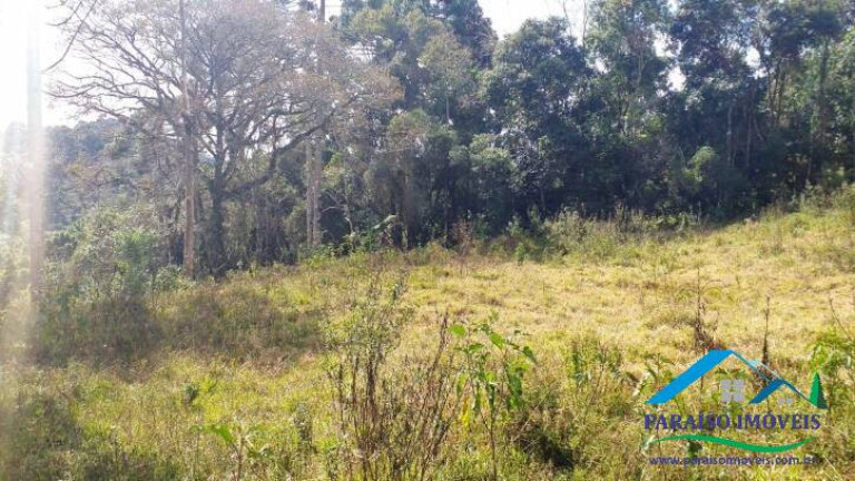 Imagem Terreno à Venda, 113.740 m² em Centro - Gonçalves