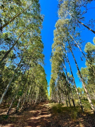 Imagem Fazenda à Venda, 1 m² em Zona Rural - Ipameri Imagem Fazenda à Venda, 1 m² em Zona Rural - Ipameri