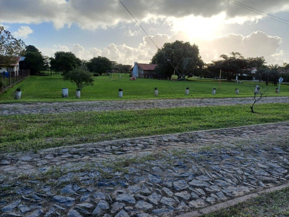 Imagem Casa com 2 Quartos à Venda, 555 m² em águas Claras - Viamão