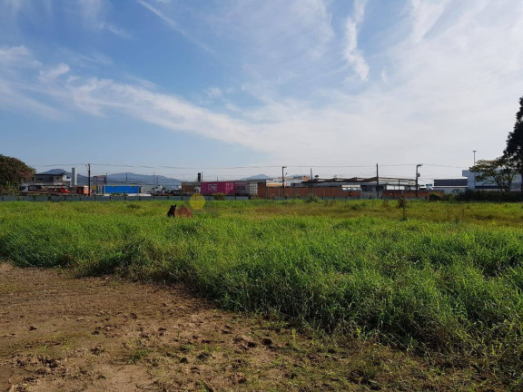 Imagem Terreno à Venda, 7.709 m² em Salseiros - Itajaí