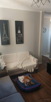 Imagem Apartamento com 2 Quartos à Venda, 45 m² em Conjunto Residencial Trinta E Um De Março - São José Dos Campos Imagem Apartamento com 2 Quartos à Venda, 45 m² em Conjunto Residencial Trinta E Um De Março - São José Dos Campos