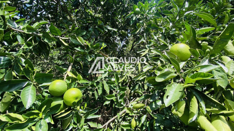 Imagem Chácara com 2 Quartos à Venda, 2 m² em Chaparral - Feira De Santana Imagem Chácara com 2 Quartos à Venda, 2 m² em Chaparral - Feira De Santana