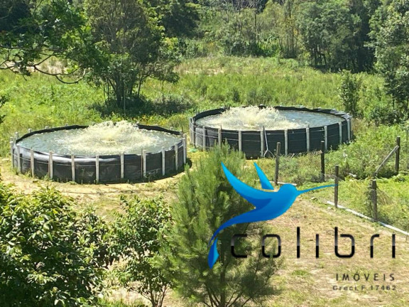 Imagem Chácara com 6 Quartos à Venda, 34.000 m² em Leão - Agudos Do Sul Imagem Chácara com 6 Quartos à Venda, 34.000 m² em Leão - Agudos Do Sul