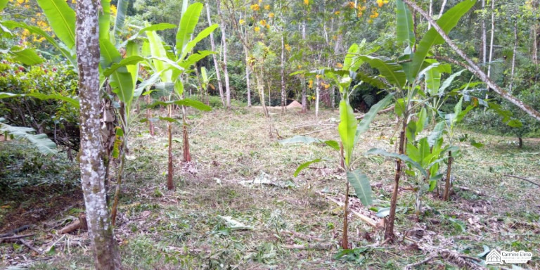 Imagem Terreno à Venda, 4.500 m² em Ubatumirim - Ubatuba