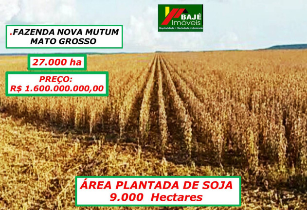 Imagem Fazenda à Venda, 27 m² em Goiânia Imagem Fazenda à Venda, 27 m² em Goiânia