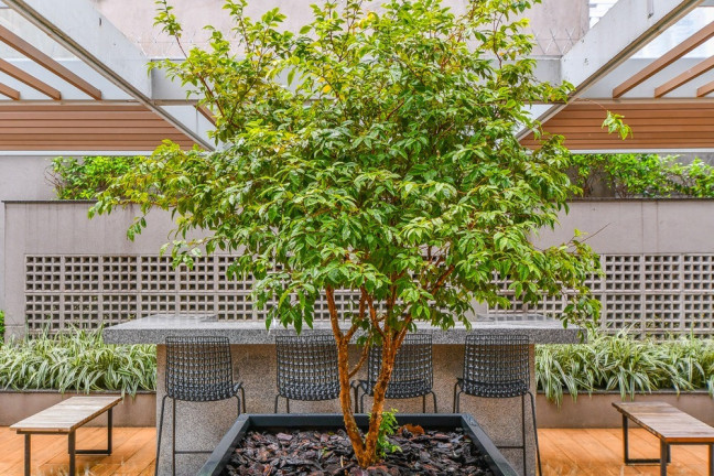 Imagem Apartamento com 3 Quartos à Venda, 186 m² em Campo Belo - São Paulo