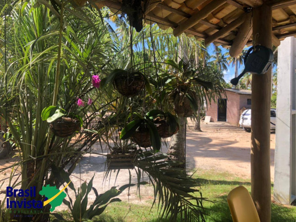 Imagem Terreno à Venda, 100 m² em Mogiquiçaba - Belmonte Imagem Terreno à Venda, 100 m² em Mogiquiçaba - Belmonte