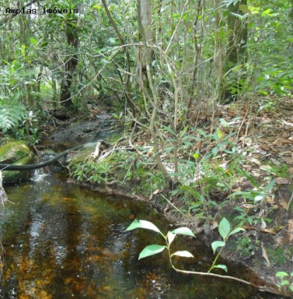 Imagem Fazenda à Venda, 164 m² em Monjolos área Rural - Monjolos