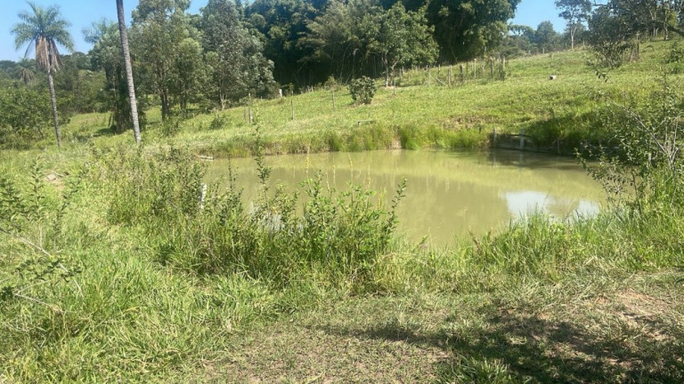 Imagem Imóvel com 3 Quartos à Venda, 45.000 m² em Rio Verde - Bauru Imagem Imóvel com 3 Quartos à Venda, 45.000 m² em Rio Verde - Bauru