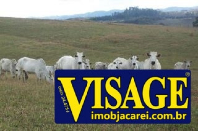 Imagem Fazenda à Venda,  em Sao Silvestre - Jacareí