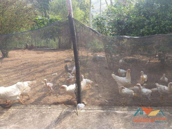 Imagem Chácara com 3 Quartos à Venda, 454 m² em Zona Rural - Paraibuna