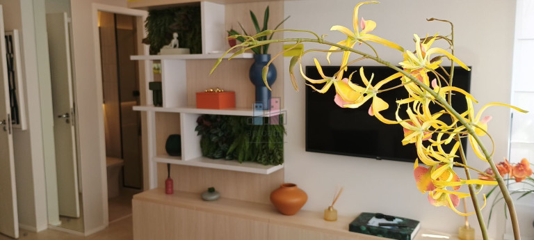 Imagem Apartamento com 2 Quartos à Venda, 41 m² em Alto Do Ipiranga - São Paulo Imagem Apartamento com 2 Quartos à Venda, 41 m² em Alto Do Ipiranga - São Paulo