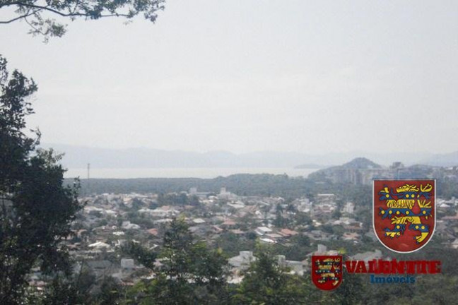 Imagem Casa com 3 Quartos à Venda, 500 m² em Córrego Grande - Florianópolis Imagem Casa com 3 Quartos à Venda, 500 m² em Córrego Grande - Florianópolis