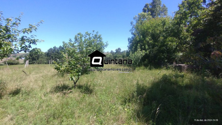 Imagem Imóvel com 2 Quartos à Venda, 50.000 m² em Capela Da Buena - Morro Redondo Imagem Imóvel com 2 Quartos à Venda, 50.000 m² em Capela Da Buena - Morro Redondo