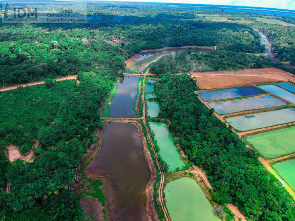Imagem Chácara à Venda, 862.000 m² em Centro - Manaus
