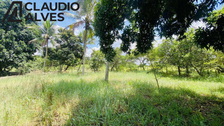 Imagem Terreno à Venda, 2 m² em Chaparral - Feira De Santana