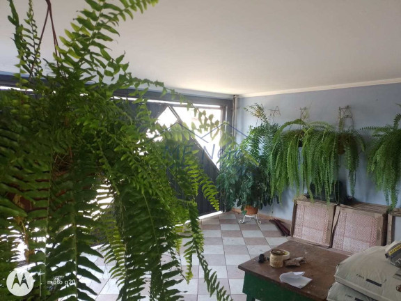 Imagem Casa com 3 Quartos à Venda, 188 m² em Vila Braz - Pirassununga Imagem Casa com 3 Quartos à Venda, 188 m² em Vila Braz - Pirassununga
