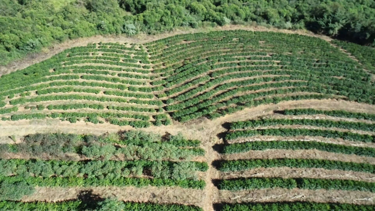 Imagem Fazenda à Venda, 31 m² em Poços De Caldas Imagem Fazenda à Venda, 31 m² em Poços De Caldas