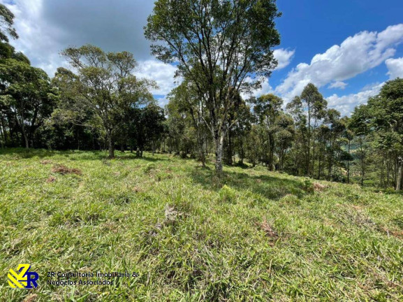Imagem Chácara à Venda, 41 m² em Pitangueiras - Pedra Bela Imagem Chácara à Venda, 41 m² em Pitangueiras - Pedra Bela