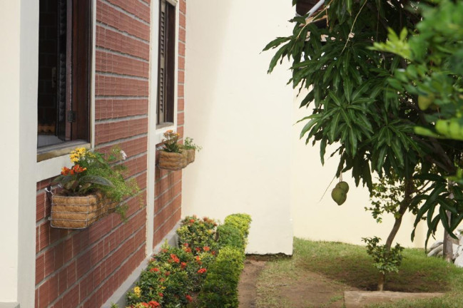 Imagem Casa com 3 Quartos para Alugar, 150 m² em Divisa De Carneiros - Tamandaré Imagem Casa com 3 Quartos para Alugar, 150 m² em Divisa De Carneiros - Tamandaré