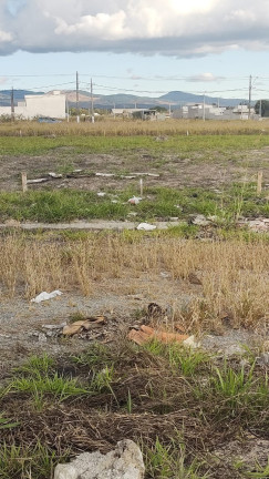 Terreno à Venda, 130 m² em Conjunto Habitacional Terra Dos Ipês - Pindamonhangaba