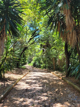 Imagem Chácara com 3 Quartos à Venda, 25.700 m² em Quintas Da Fazendinha - Matozinhos