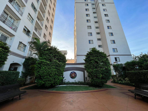 Imagem Apartamento com 4 Quartos à Venda, 62 m² em Vila Santa Catarina - São Paulo