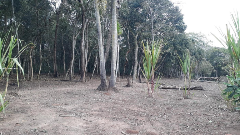 Imagem Imóvel à Venda, 500 m² em Vila Caputera - Mogi Das Cruzes