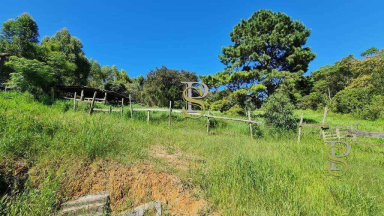 Imagem Imóvel à Venda, 5.000 m² em Terra Preta - Mairiporã Imagem Imóvel à Venda, 5.000 m² em Terra Preta - Mairiporã