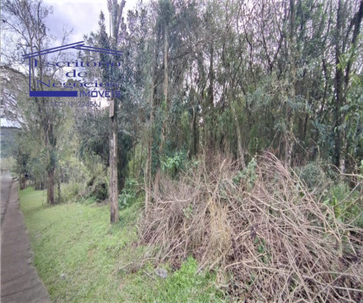 Imagem Terreno à Venda, 7.657 m² em Lomba Do Pinheiro - Porto Alegre Imagem Terreno à Venda, 7.657 m² em Lomba Do Pinheiro - Porto Alegre