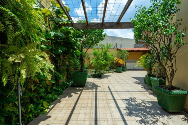 Imagem Casa com 4 Quartos à Venda, em Moema - São Paulo Imagem Casa com 4 Quartos à Venda, em Moema - São Paulo