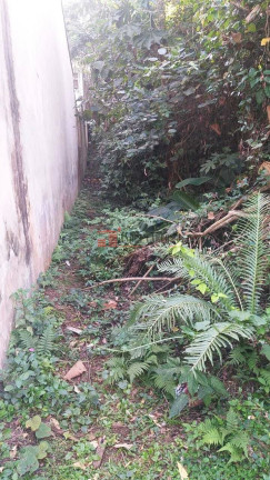 Imagem Casa de Condomínio à Venda, 450 m² em Parque Nova Jandira - Jandira Imagem Casa de Condomínio à Venda, 450 m² em Parque Nova Jandira - Jandira