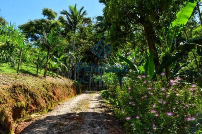Imagem Chácara com 7 Quartos à Venda, 148.918 m² em Braço - Camboriú Imagem Chácara com 7 Quartos à Venda, 148.918 m² em Braço - Camboriú