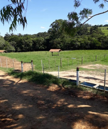 Imagem Fazenda à Venda, 124 m² em Rural - Itapetininga