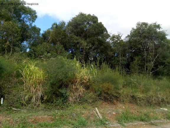 Imagem Terreno à Venda, 390 m² em Linha Imperial - Nova Petrópolis Imagem Terreno à Venda, 390 m² em Linha Imperial - Nova Petrópolis