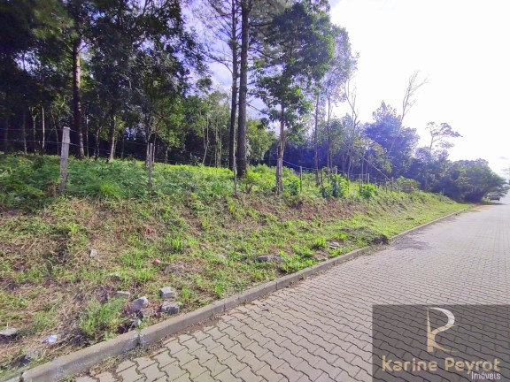 Imagem Terreno à Venda, 300 m² em Campestre - São Leopoldo