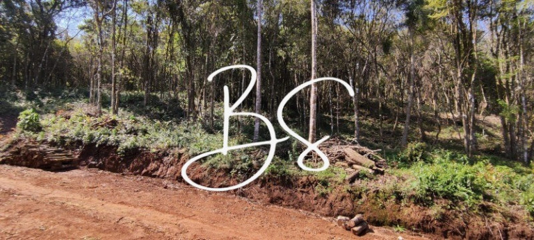Imagem Terreno à Venda, 2.141 m² em Estrada Linha ávila - Gramado Imagem Terreno à Venda, 2.141 m² em Estrada Linha ávila - Gramado