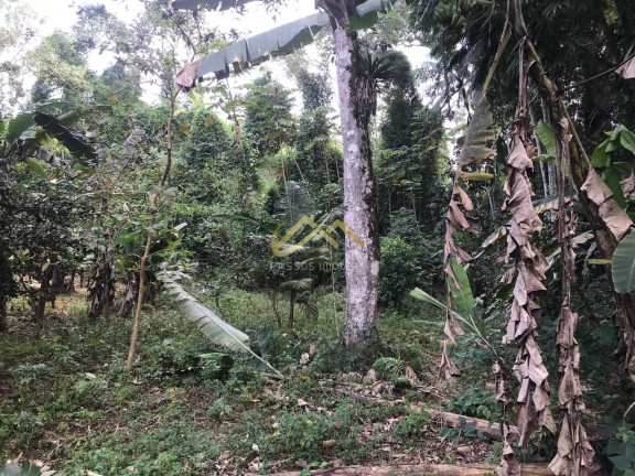 Imagem Terreno à Venda, 32 m² em Horto Florestal - Ubatuba Imagem Terreno à Venda, 32 m² em Horto Florestal - Ubatuba