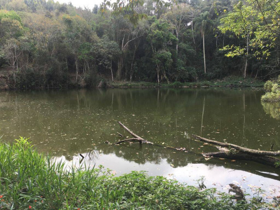 Imagem Chácara à Venda, 24.200 m² em Piedade Imagem Chácara à Venda, 24.200 m² em Piedade