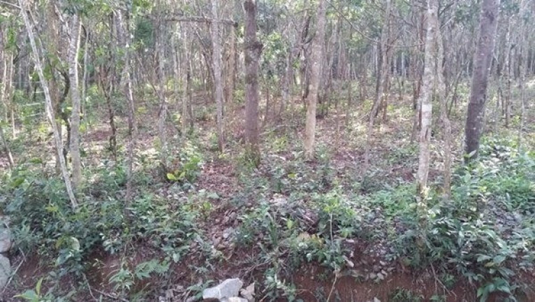 Imagem Terreno à Venda, 450 m² em Acuruí - Itabirito Imagem Terreno à Venda, 450 m² em Acuruí - Itabirito