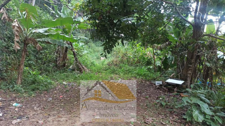 Imagem Terreno à Venda, 7.800 m² em Varginha - Nova Friburgo Imagem Terreno à Venda, 7.800 m² em Varginha - Nova Friburgo