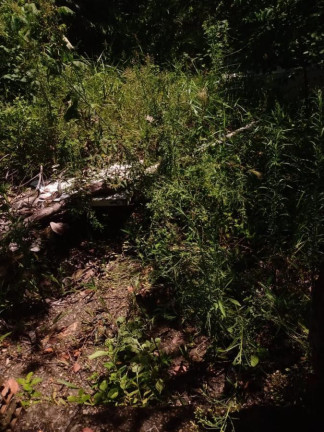 Imagem Terreno à Venda, 950 m² em Gamboa - Vera Cruz