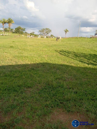 Imagem Fazenda à Venda, 190 m² em Zona Rural - Caldas Novas Imagem Fazenda à Venda, 190 m² em Zona Rural - Caldas Novas