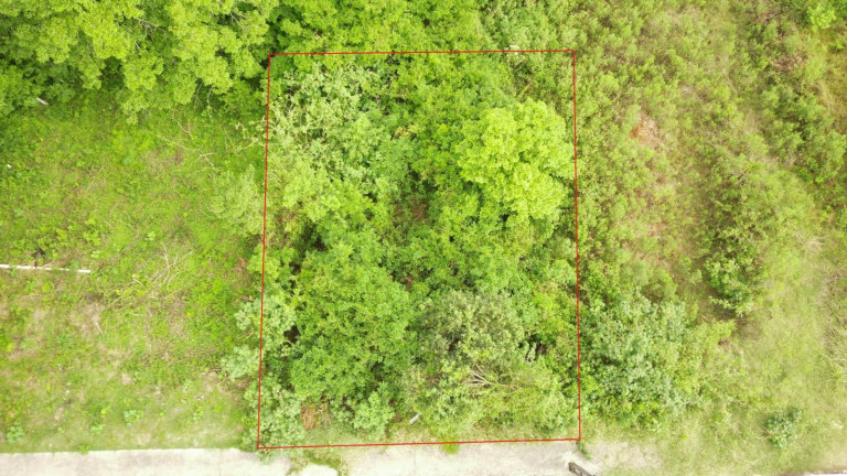Imagem Terreno à Venda, 525 m² em Jardim - Concórdia Imagem Terreno à Venda, 525 m² em Jardim - Concórdia