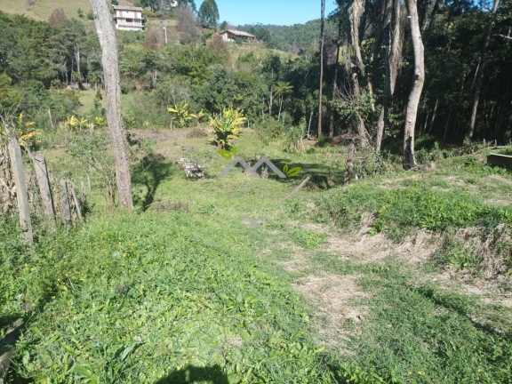 Imagem Terreno à Venda, 1 m² em Bairro Machadinho - Santo Antônio Do Pinhal Imagem Terreno à Venda, 1 m² em Bairro Machadinho - Santo Antônio Do Pinhal