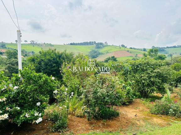 Imagem Fazenda à Venda, 15.385 m² em Toledo - Toledo Imagem Fazenda à Venda, 15.385 m² em Toledo - Toledo