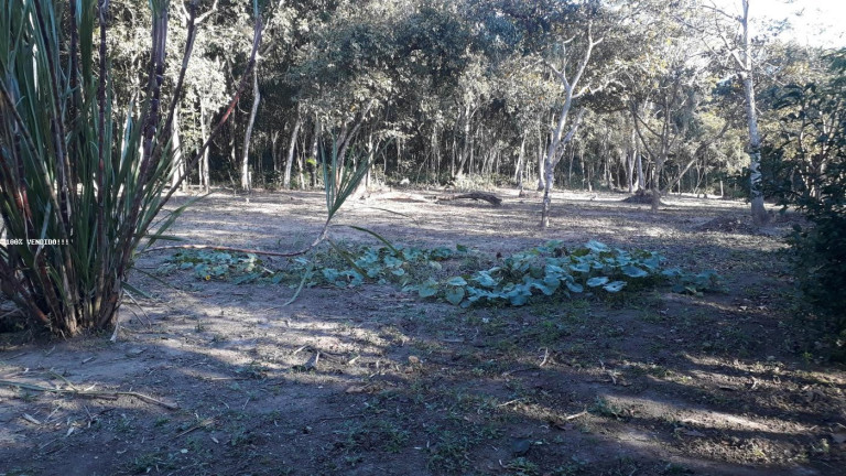 Imagem Imóvel à Venda, 500 m² em Vila Caputera - Mogi Das Cruzes